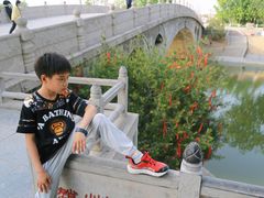 -赵州桥景区