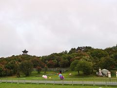 -贵州百里杜鹃风景名胜区