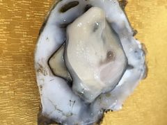 -蚝专家(北滘店)