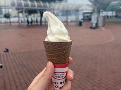 -富豪雪糕车流动点(尖沙咀店)