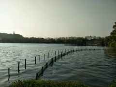 -湖畔居茶楼(湖滨店)