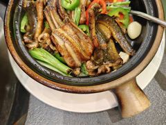 -飞尝蚝·顺德菜·鱼生(顺德总店)