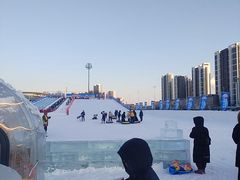 -沈阳奥体冰雪嘉年华