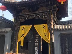 -大槐树寻根祭祖园