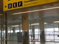 -谢列梅捷沃国际机场
