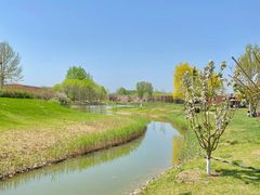 -安德鲁户外烧烤帐篷营地(马泉营店)