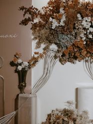 -明典婚礼策划·婚车租赁·婚纱摄影