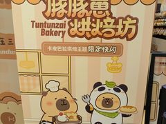 -首开·龙湖成都西宸天街