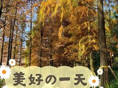 -重庆彩云湖湿地公园