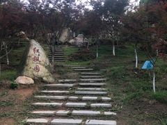 -广州市帽峰山景区