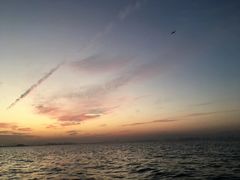 -黄金海岸环岛路