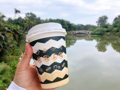 港式柠檬茶-孖记茶档·热腾茶餐(乐峰店)