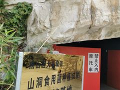 -仙蘑洞