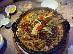 -老板恋上鱼(恒隆广场店)