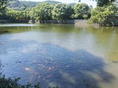 -阿育王寺