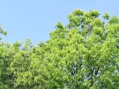 -安溪清水岩