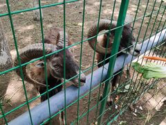 -长白岛森林公园