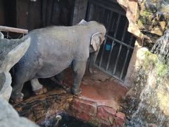 -长鹿旅游休博园