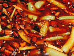 -雲蜀龙阁·金牌水煮鱼(方庄店)