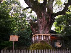 -热田神宫
