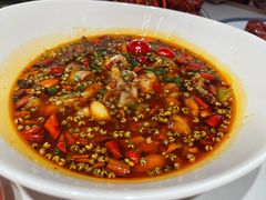 水煮牛蛙-杨氏青龙虾·羊蝎子(托乐嘉店)