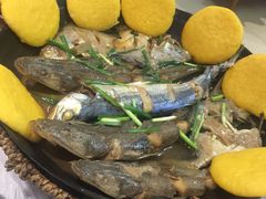 -宾朋海鲜特色美食餐厅·纯手工鲅鱼水饺(兴海路店)