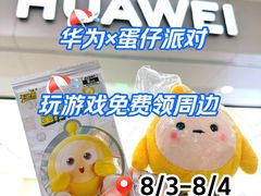 -华为智能生活馆(上海中山公园龙之梦)