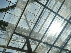-观唐（国际）度假村温泉