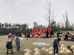 -上海长兴岛郊野公园