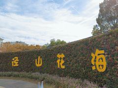 -径山花海