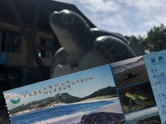 -广东惠东海龟国家级自然保护区