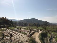 -塔川景区