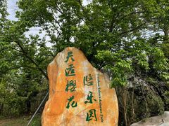 -天适樱花悠乐园