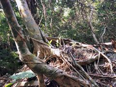 -七仙岭温泉国家森林公园