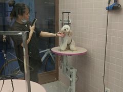 -FAELING PETS美天灵宠物(富力广场店)