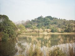 -福建鲤鱼洲酒店