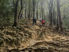 -火炉山森林公园