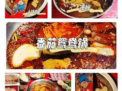 -谭鸭血老火锅(漳州路店)