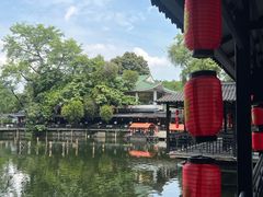 -侨美·唐荔园·40年地道粤菜