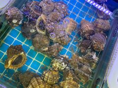 水产区-金海湾海鲜排档(朱家尖店)