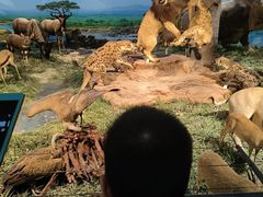 -国家自然博物馆