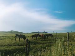 -乌兰布统草原