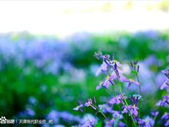 -天津现代职业技术学院
