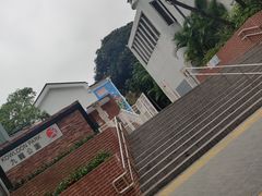 -九龙公园