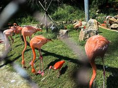 -沈阳森林动物园