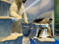 -国家自然博物馆