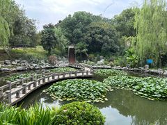 -太子山公园(园东路)