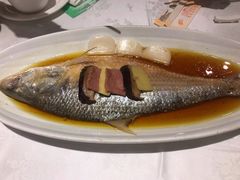 鸡油花雕蒸鲥鱼-和记小菜(东方店)