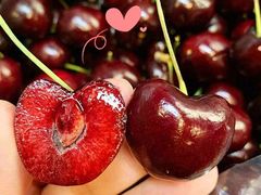 -硕果水果大排档(龙湖好城时光店)