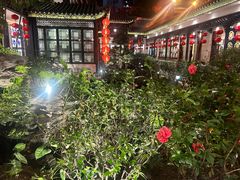 -北园酒家(小北路店)